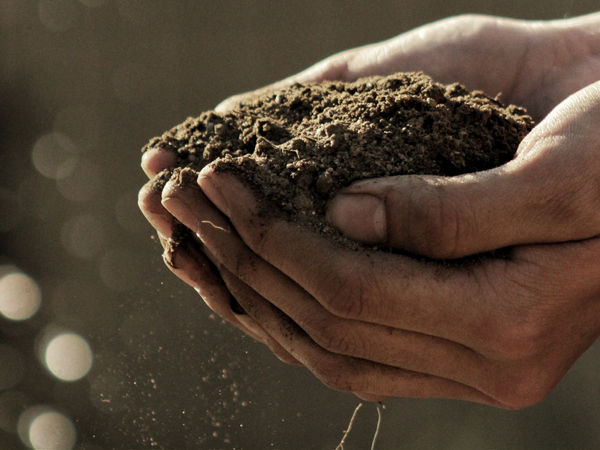 Dark, crumbly organic compost in gardener's hands